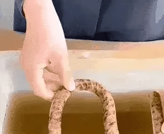 Powerful Rusted Solutions Rust Remover